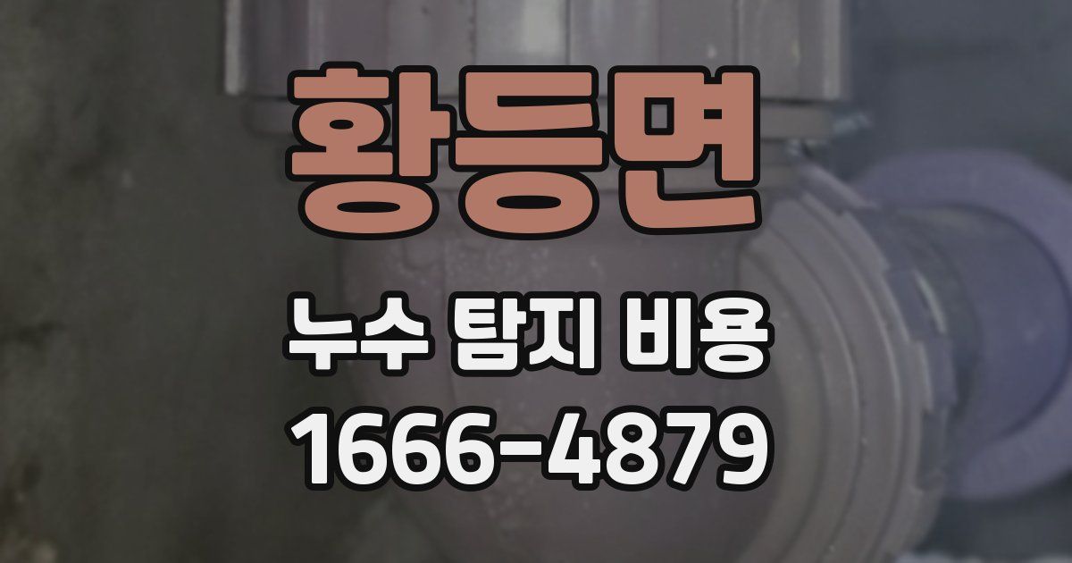 황등면 누수 탐지 비용