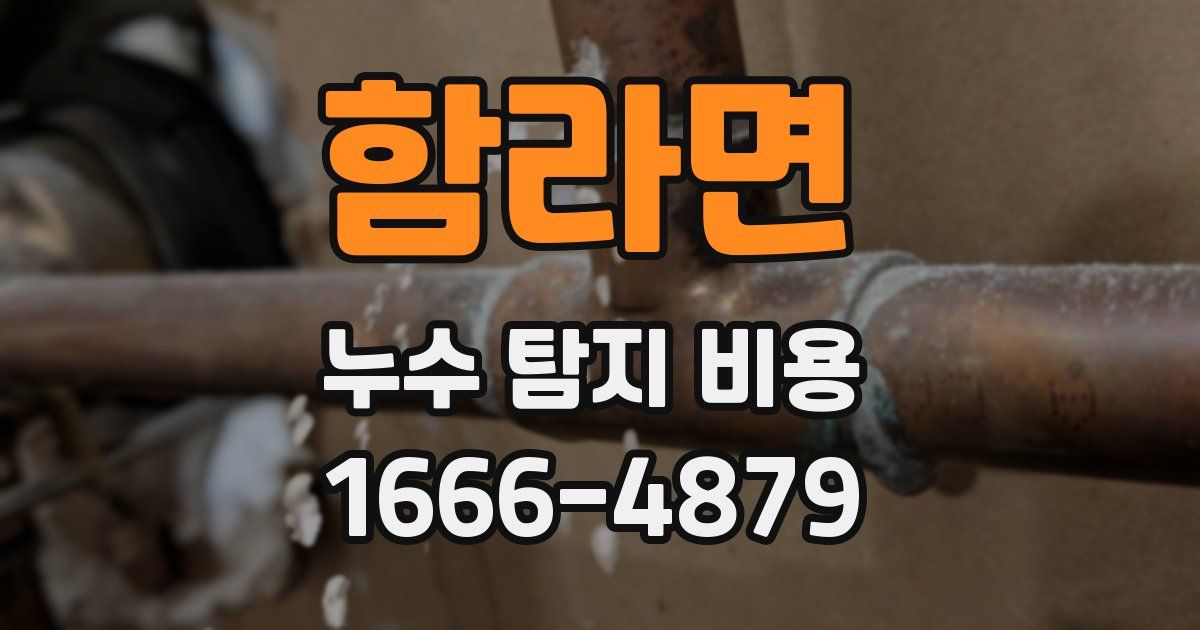 함라면 누수 탐지 비용