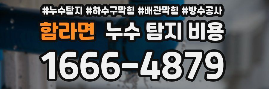 함라면 누수 탐지 비용