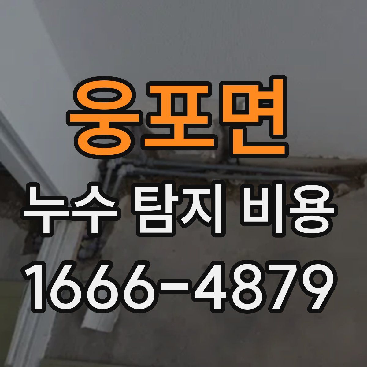웅포면 누수 탐지 비용
