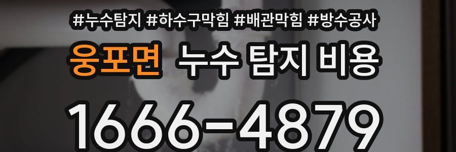웅포면 누수 탐지 비용