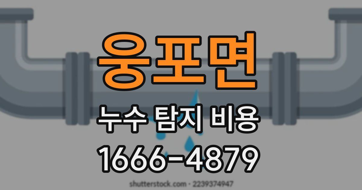 웅포면 누수 탐지 비용