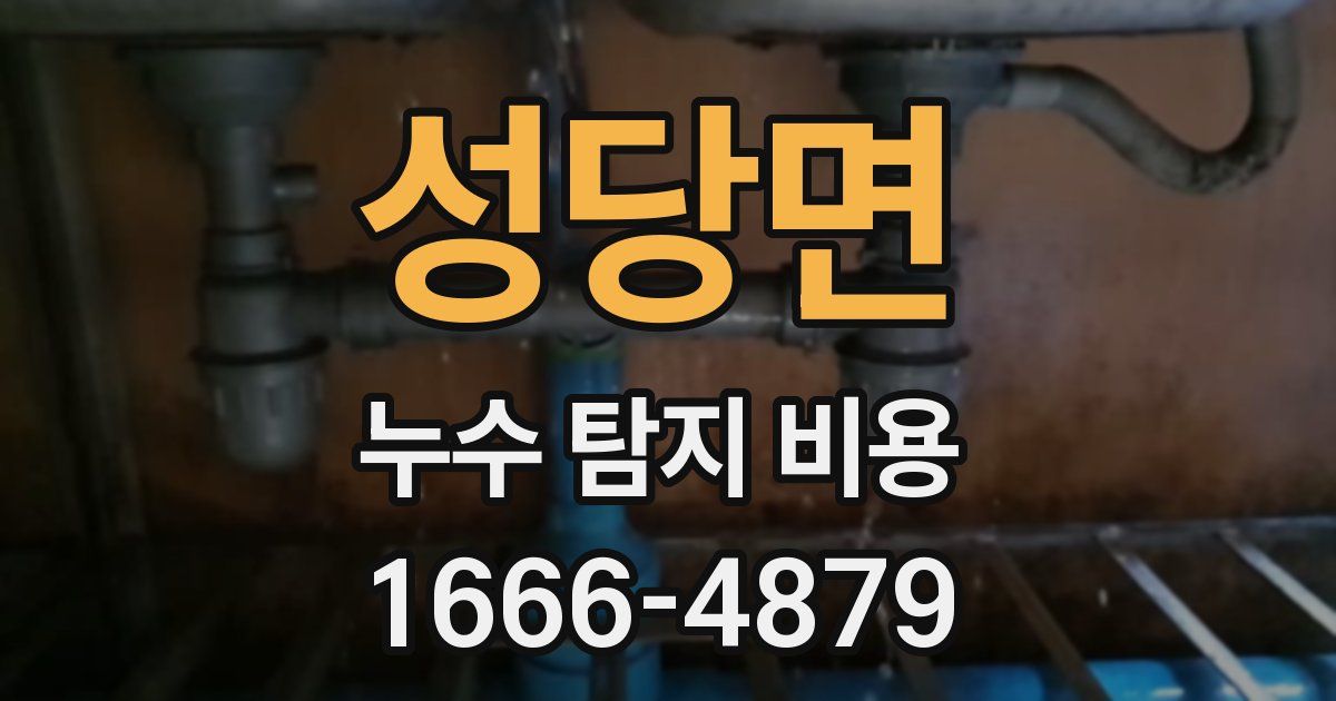 성당면 누수 탐지 비용