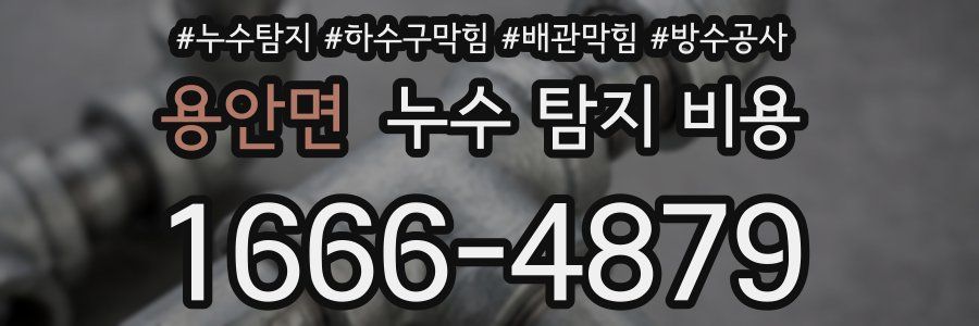 용안면 누수 탐지 비용