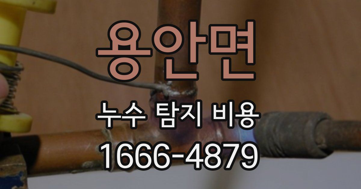 용안면 누수 탐지 비용
