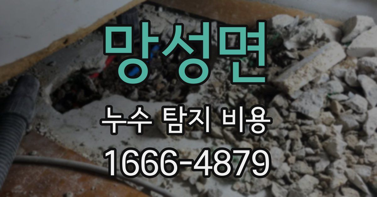 망성면 누수 탐지 비용