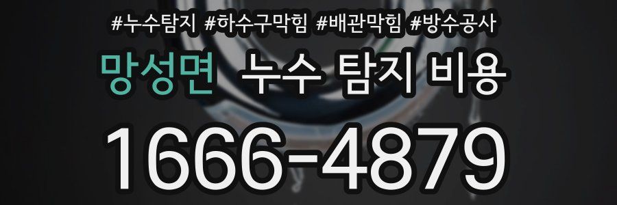 망성면 누수 탐지 비용