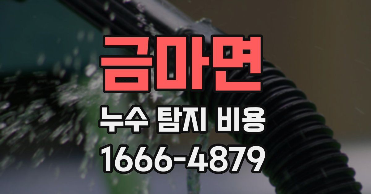 금마면 누수 탐지 비용