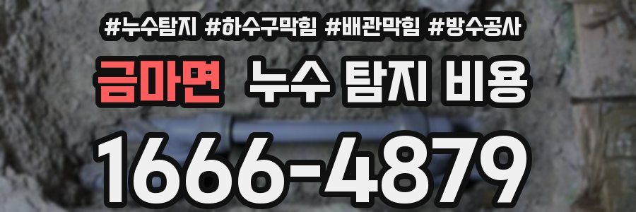 금마면 누수 탐지 비용