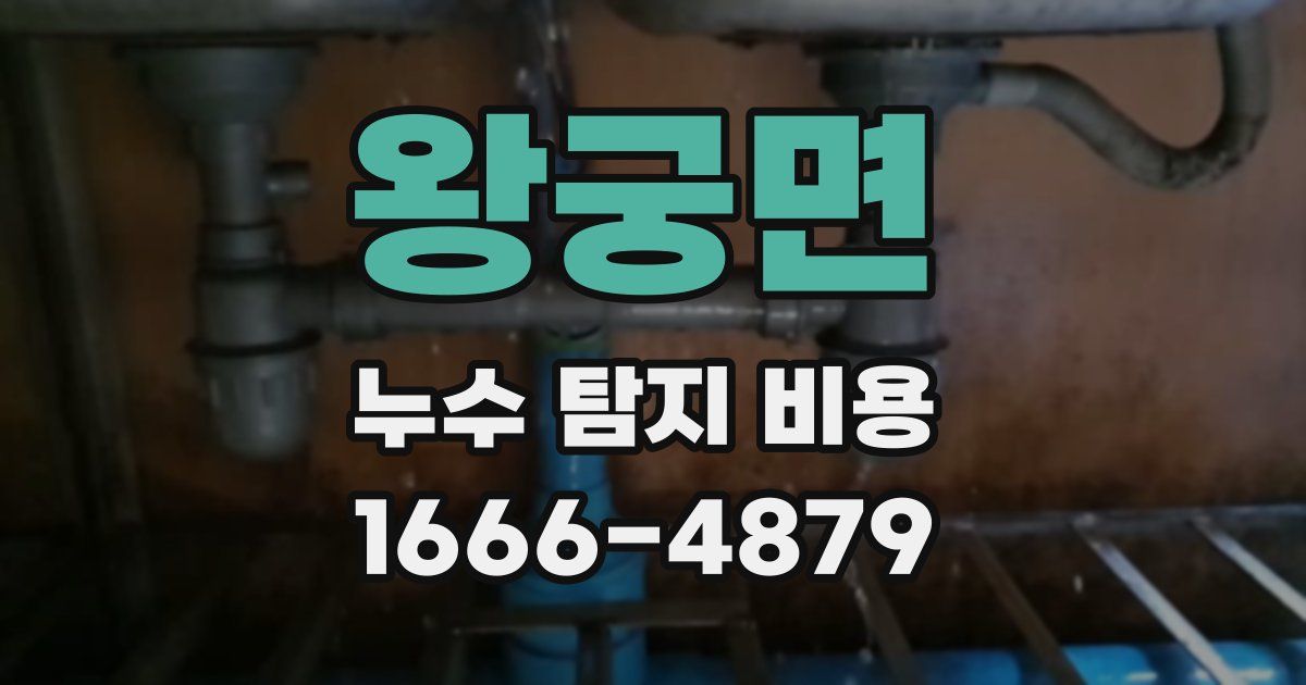왕궁면 누수 탐지 비용