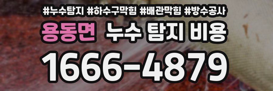 용동면 누수 탐지 비용