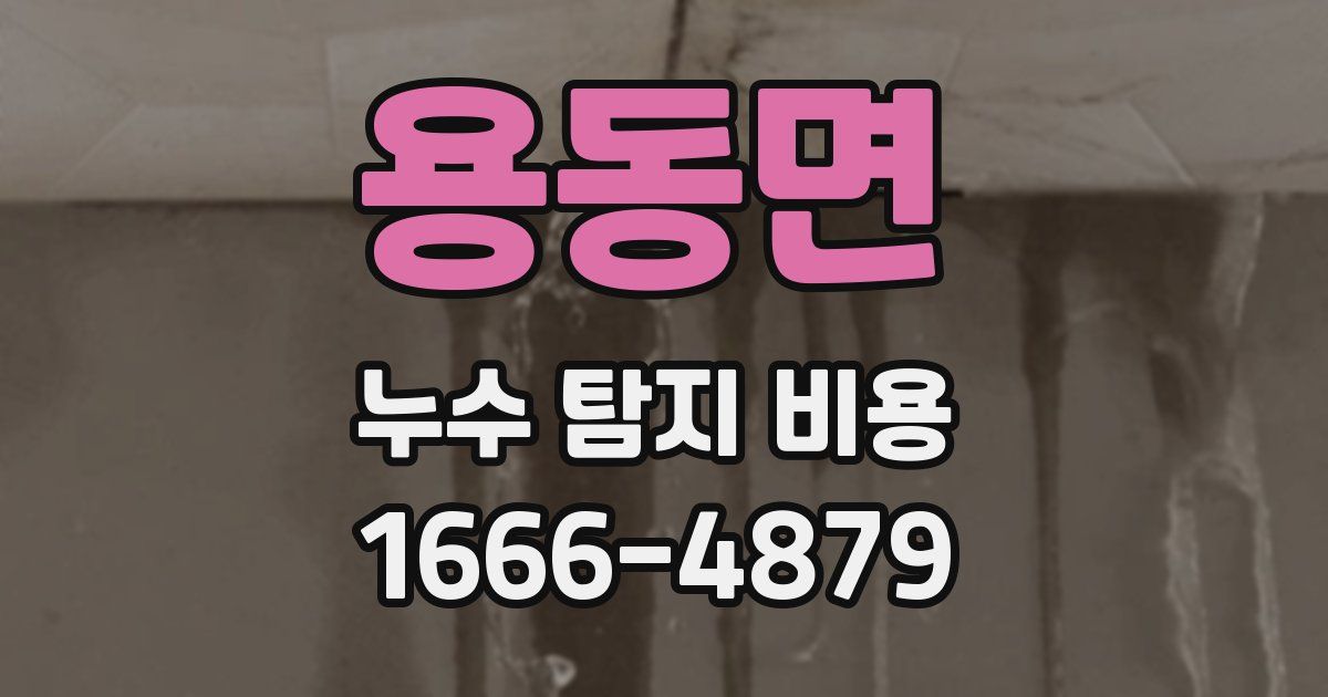 용동면 누수 탐지 비용