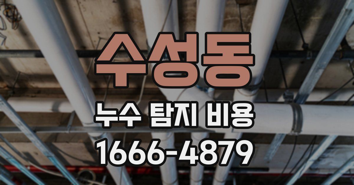수성동 누수 탐지 비용