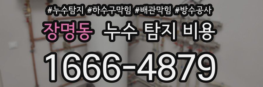 장명동 누수 탐지 비용