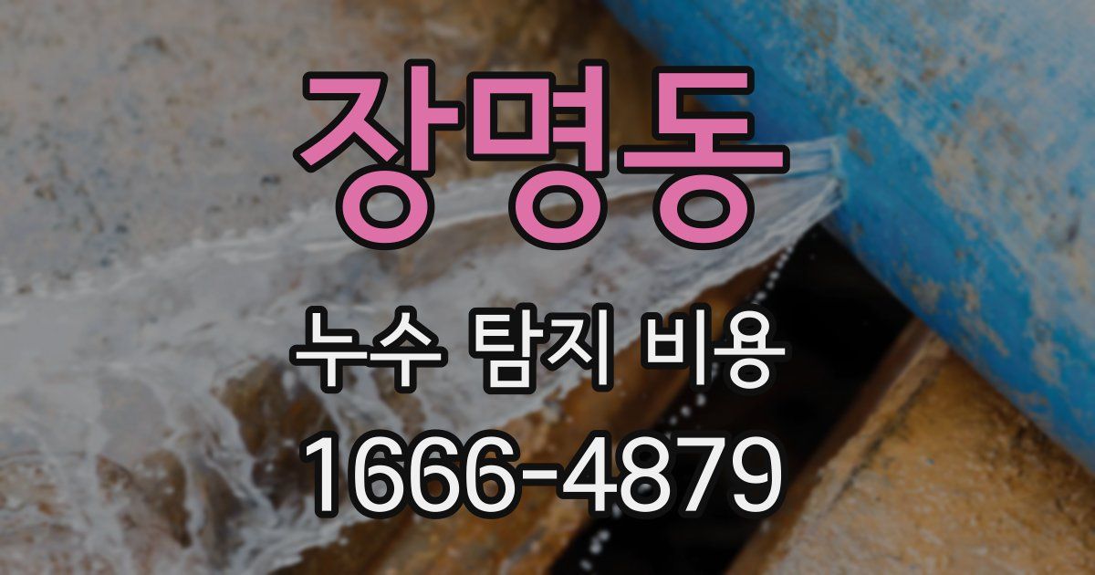 장명동 누수 탐지 비용