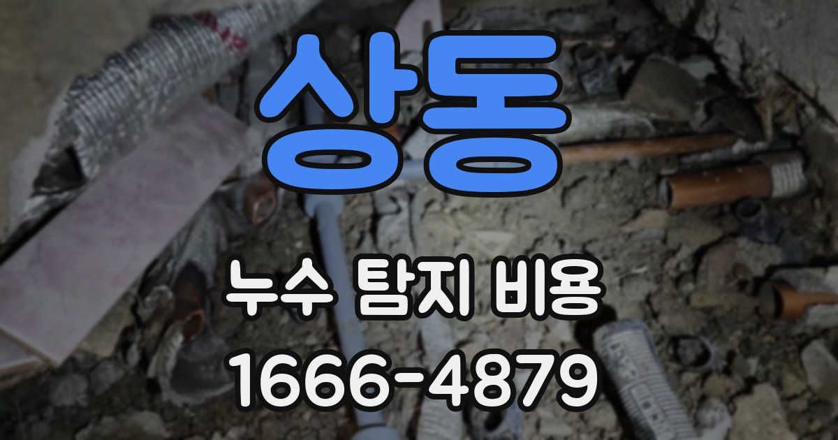 상동 누수 탐지 비용
