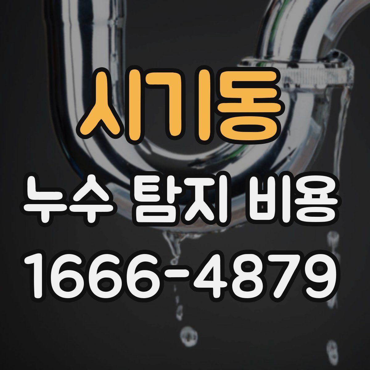 시기동 누수 탐지 비용