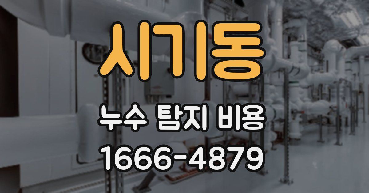 시기동 누수 탐지 비용