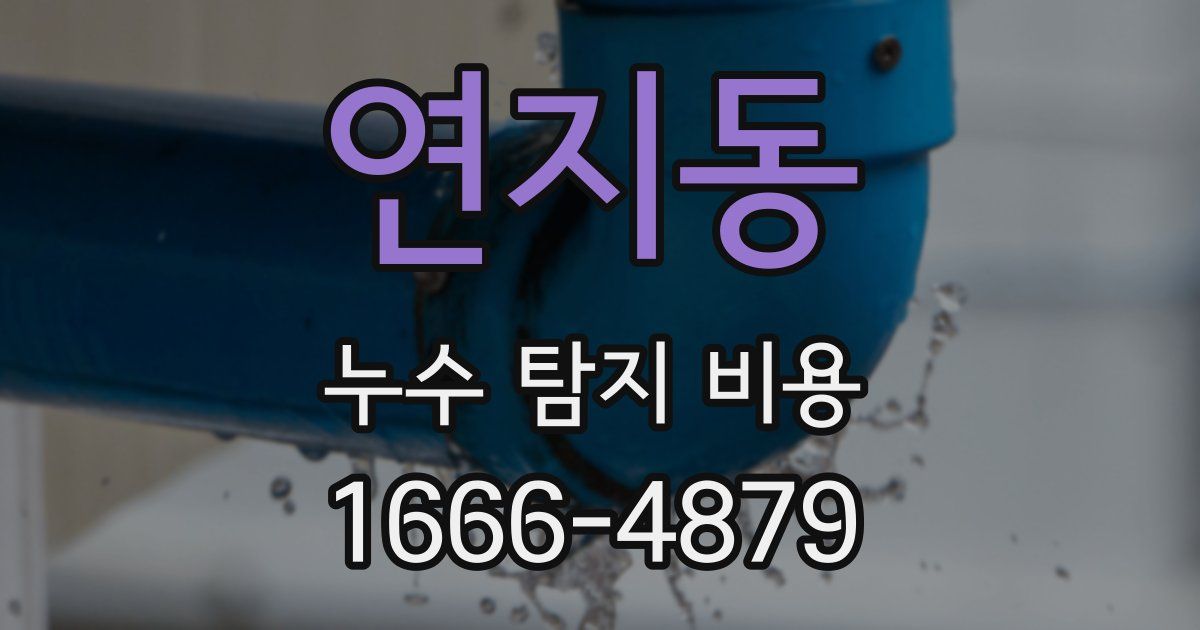연지동 누수 탐지 비용