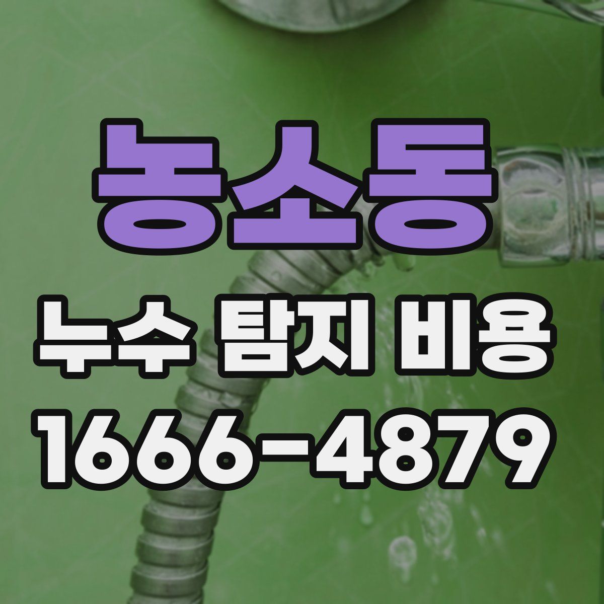 농소동 누수 탐지 비용