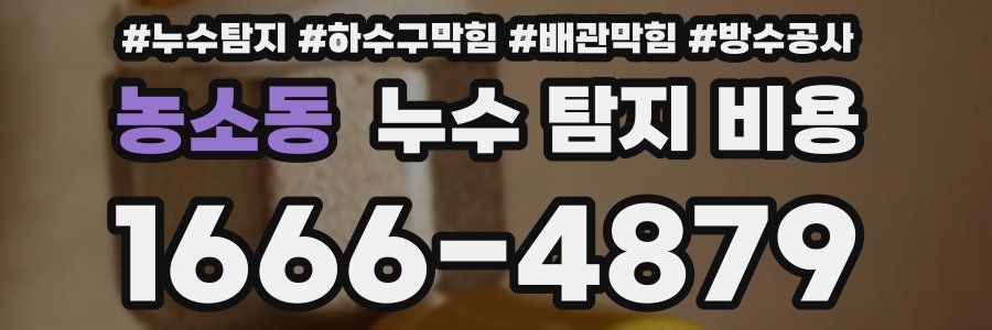 농소동 누수 탐지 비용
