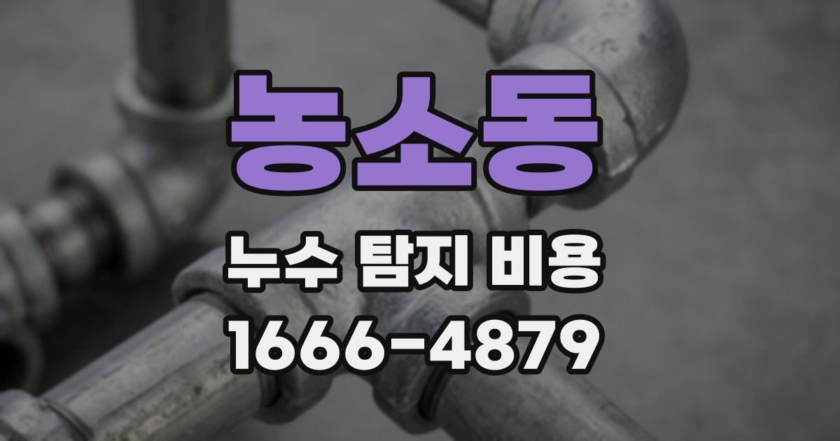 농소동 누수 탐지 비용
