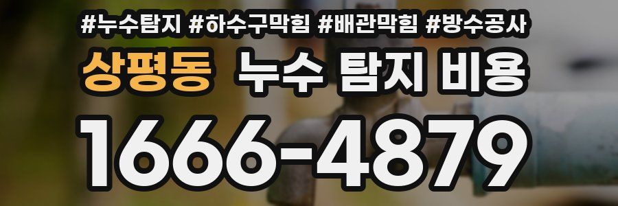 상평동 누수 탐지 비용