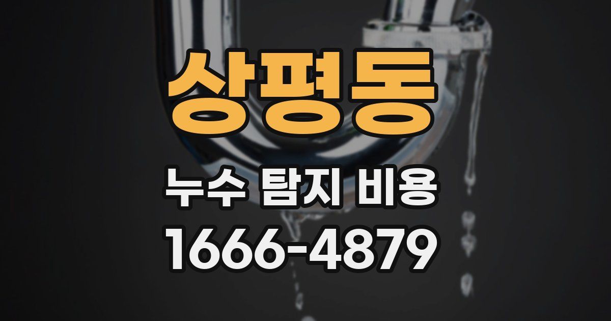 상평동 누수 탐지 비용