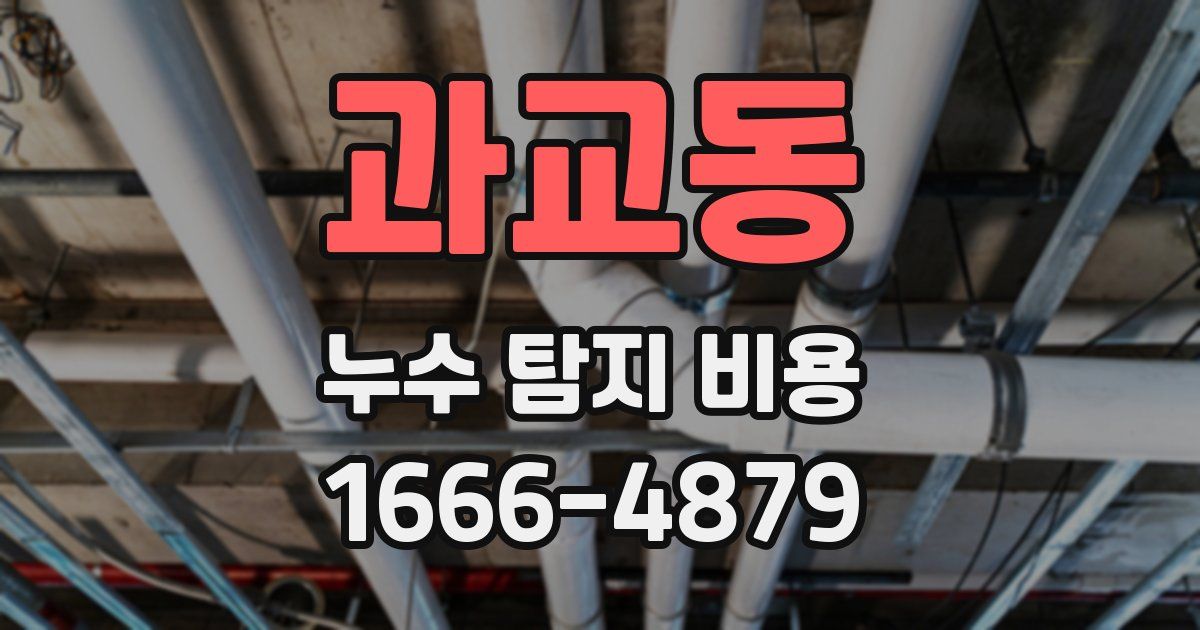 과교동 누수 탐지 비용