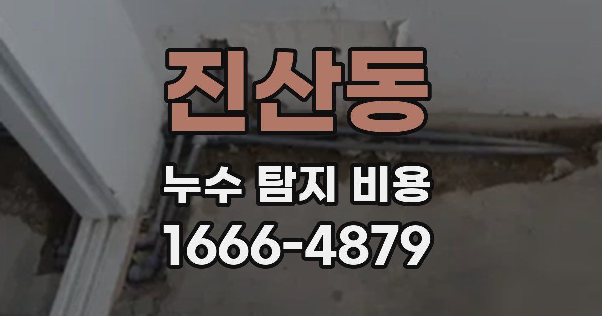 진산동 누수 탐지 비용