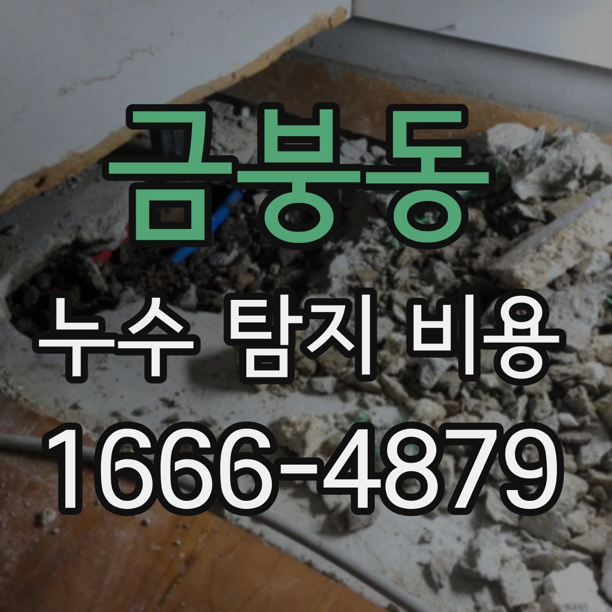 금붕동 누수 탐지 비용
