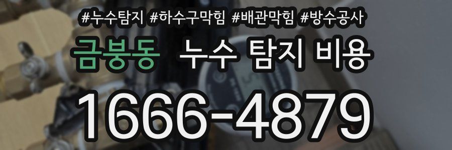 금붕동 누수 탐지 비용