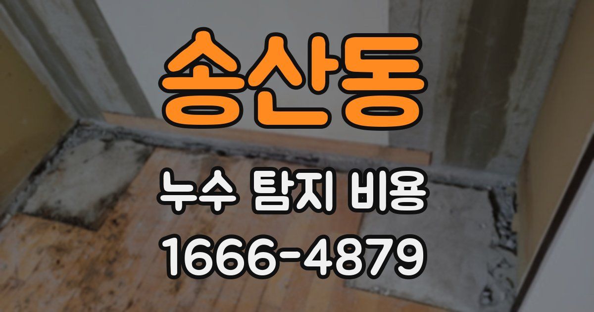 송산동 누수 탐지 비용