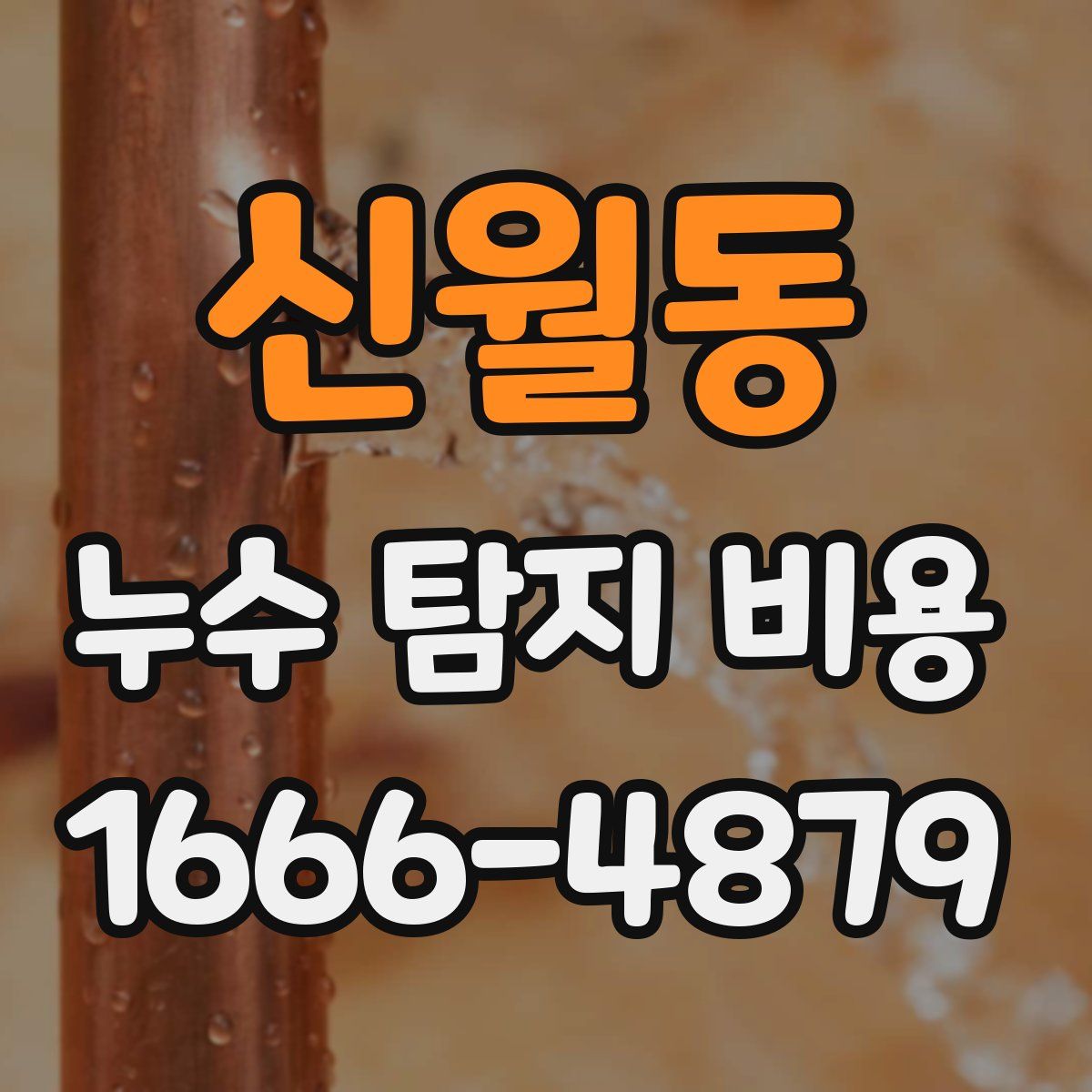 신월동 누수 탐지 비용