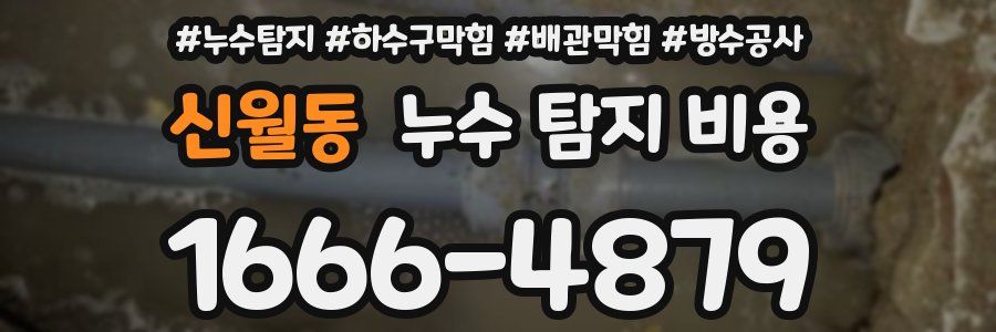 신월동 누수 탐지 비용