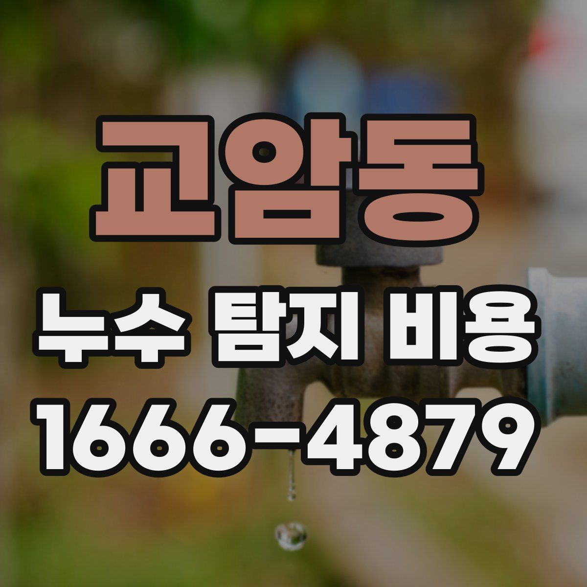 교암동 누수 탐지 비용