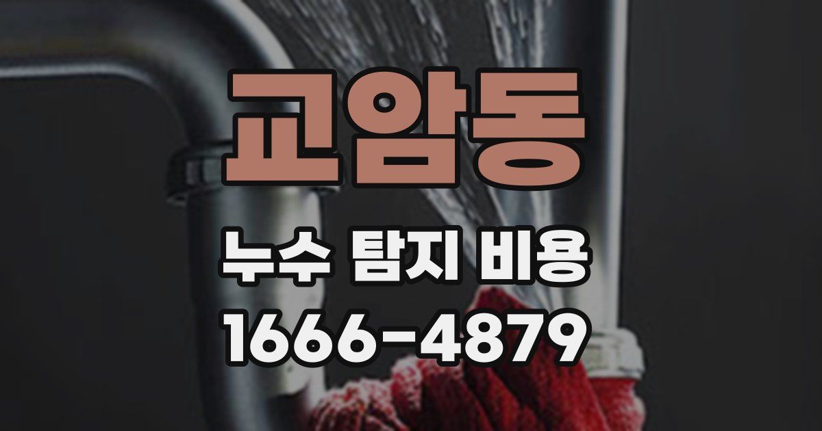 교암동 누수 탐지 비용
