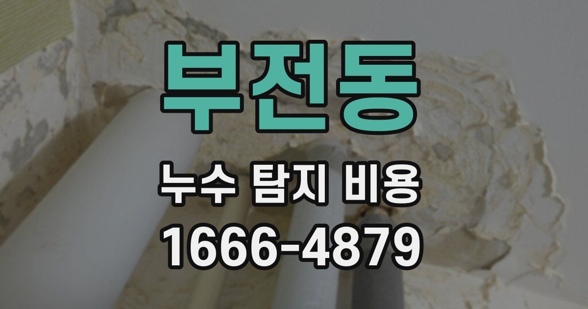 부전동 누수 탐지 비용