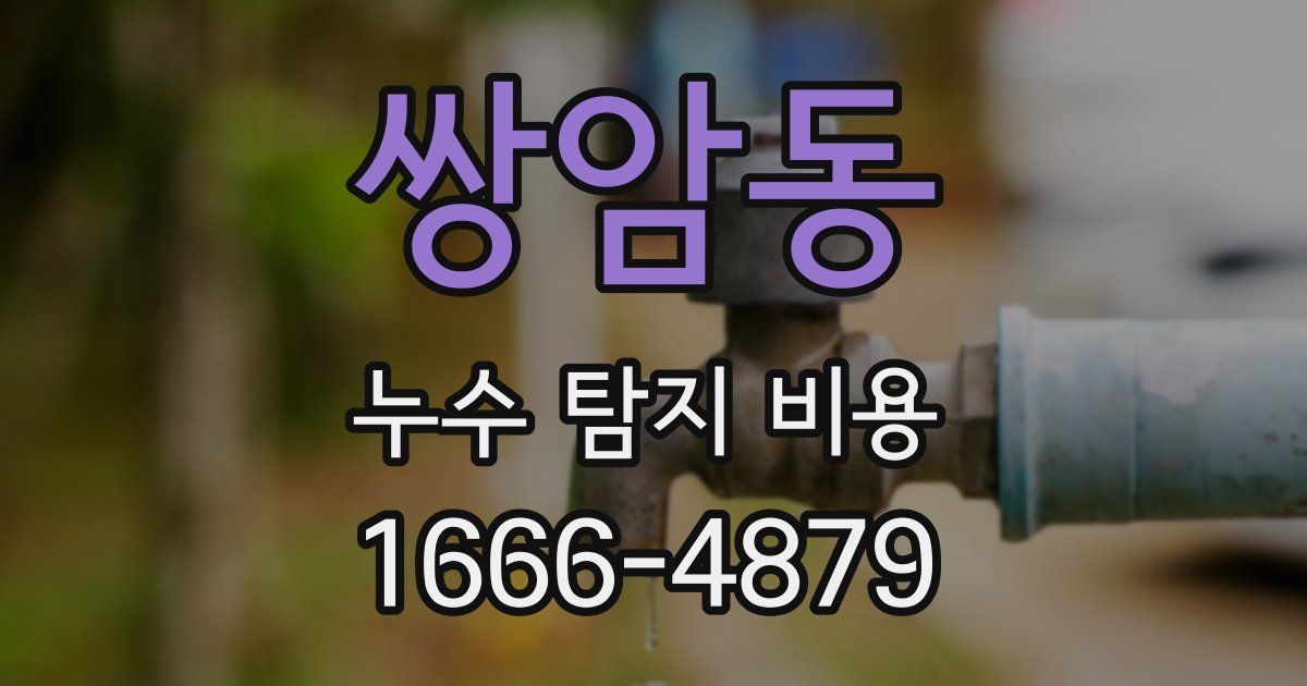 쌍암동 누수 탐지 비용