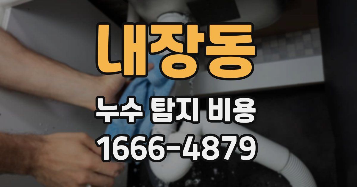 내장동 누수 탐지 비용