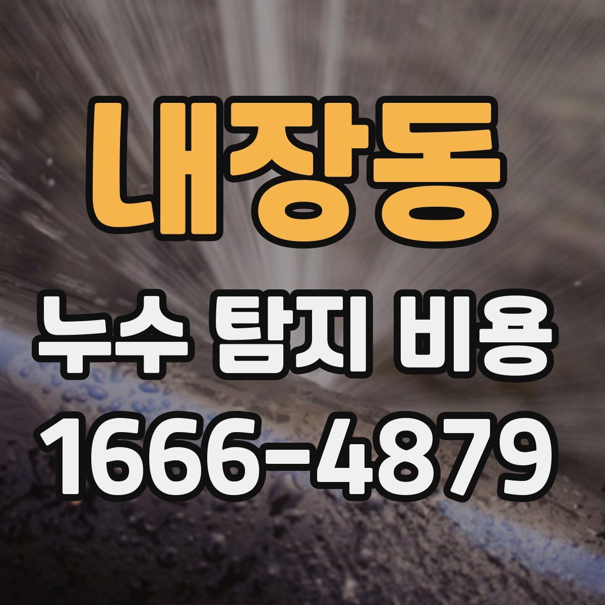 내장동 누수 탐지 비용