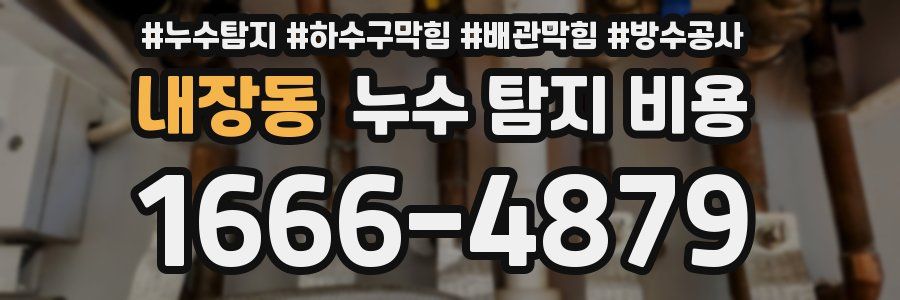 내장동 누수 탐지 비용
