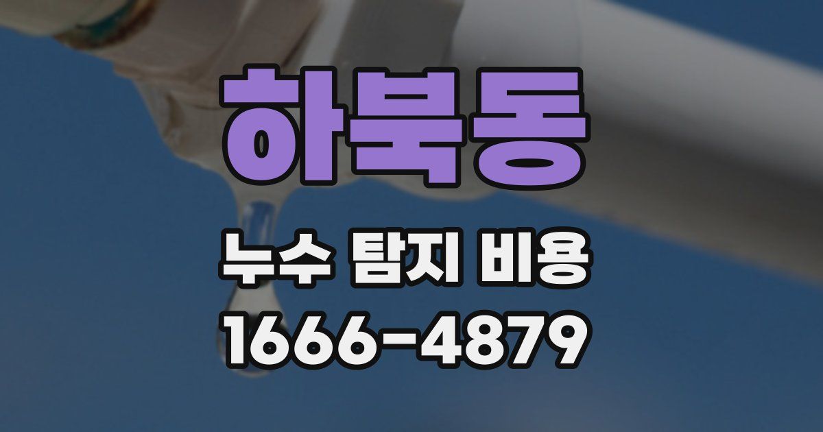 하북동 누수 탐지 비용