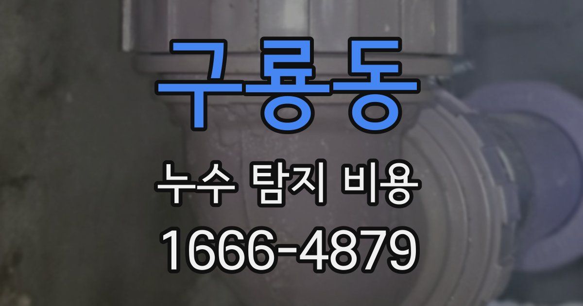 구룡동 누수 탐지 비용