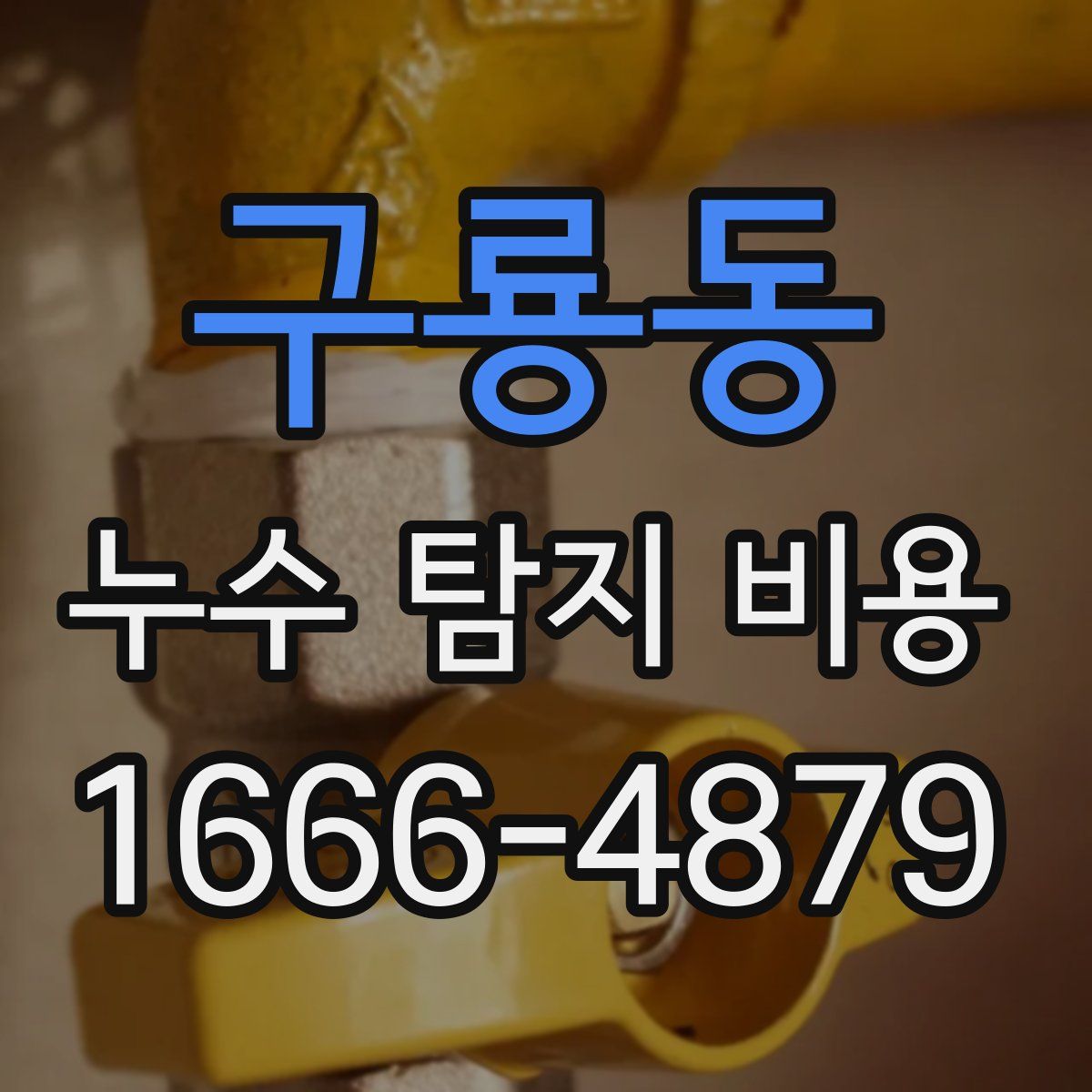 구룡동 누수 탐지 비용