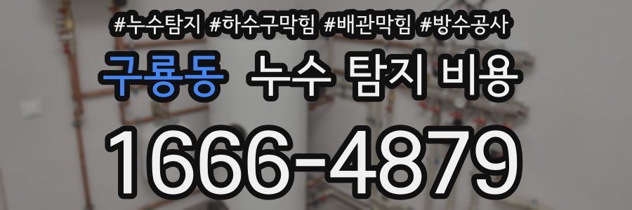 구룡동 누수 탐지 비용