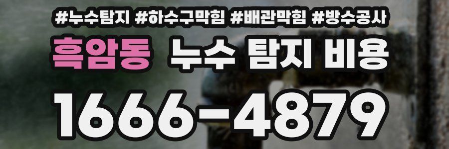 흑암동 누수 탐지 비용