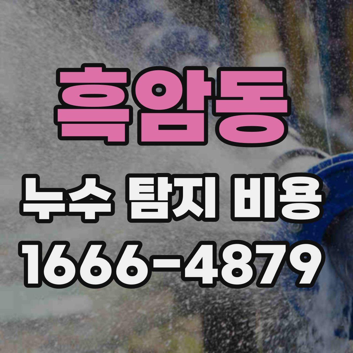 흑암동 누수 탐지 비용