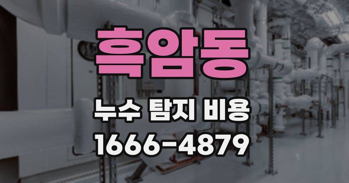 흑암동 누수 탐지 비용