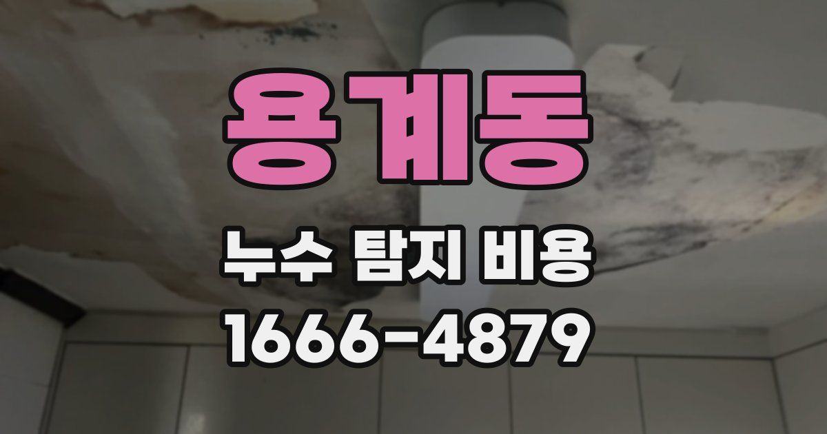 용계동 누수 탐지 비용